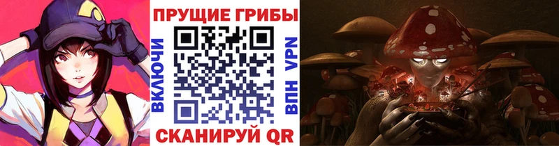 Галлюциногенные грибы Cubensis гидра Красноуральск